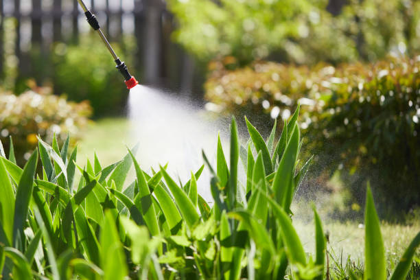 24/7 Emergency Wasp Removal experts in Lake Holiday, IL