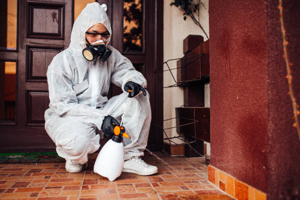Reliable Wasp Removal contractor in Lake Holiday, IL by Show Me Pest Control