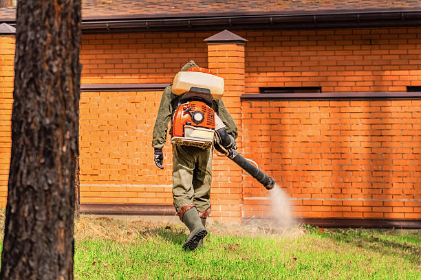 Top rated local Wasp Removal specialists in Lake Holiday, IL
